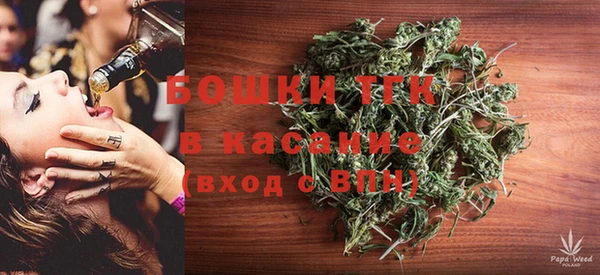 гашик Михайловск