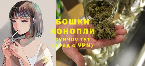 гидра Медногорск