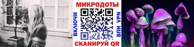 Псилоцибиновые грибы Cubensis  Харовск 